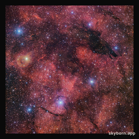 The Dark Wolf Nebula