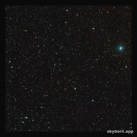 Wide-field view around the CD-35 2722 system
