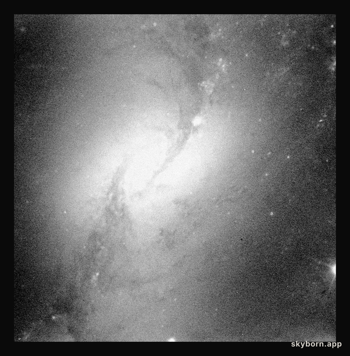 NGC 1365