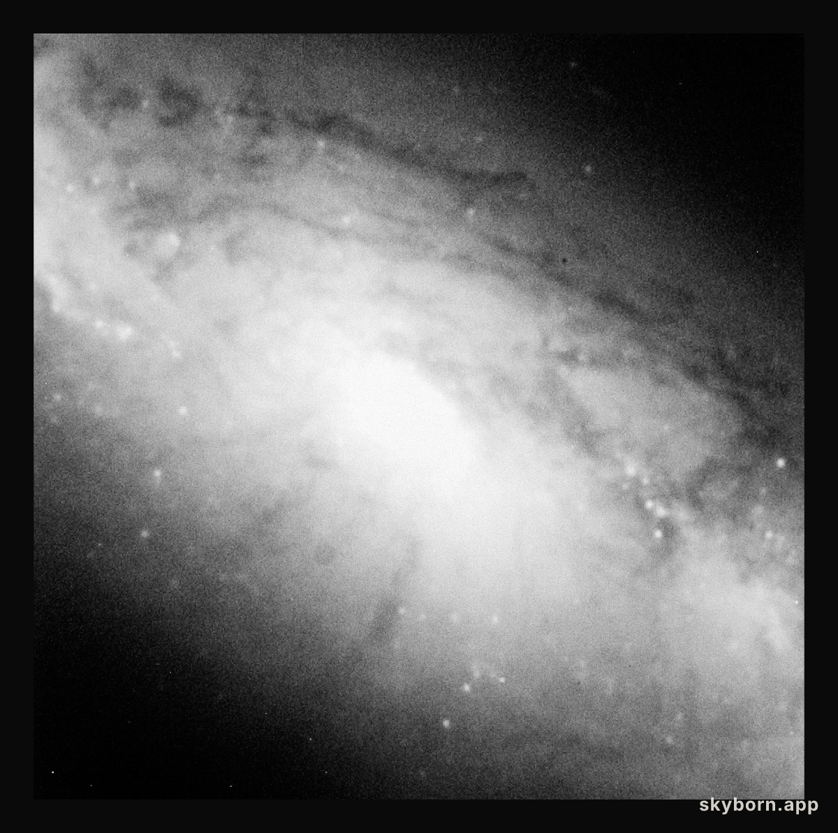 Galaxy NGC 1808