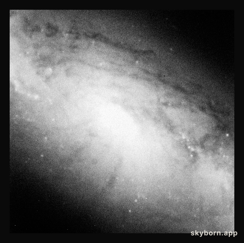 Galaxy NGC 1808