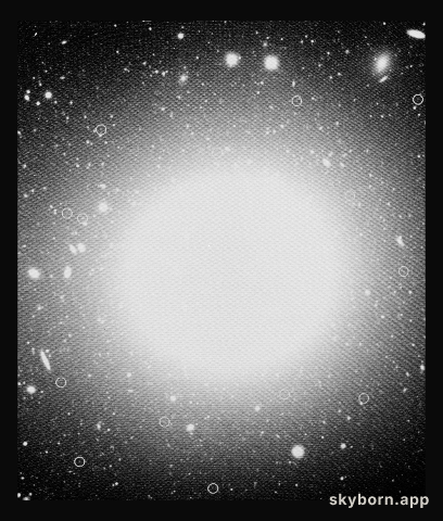 Planetary nebulae in NGC 1399