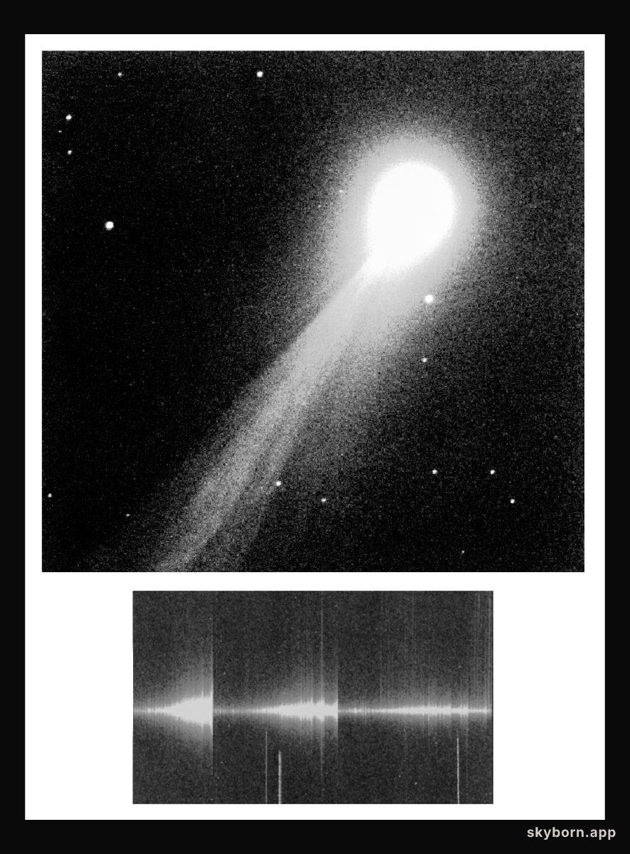 NTT observations of bright comet 1995 Q1 (Bradfield)