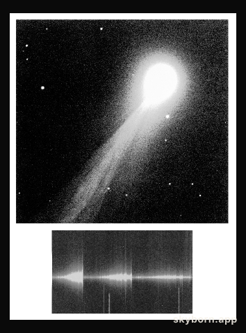 NTT observations of bright comet 1995 Q1 (Bradfield)