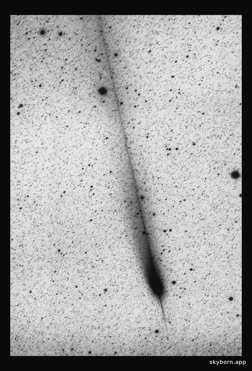 The unusual tails of comet Hale-Bopp
