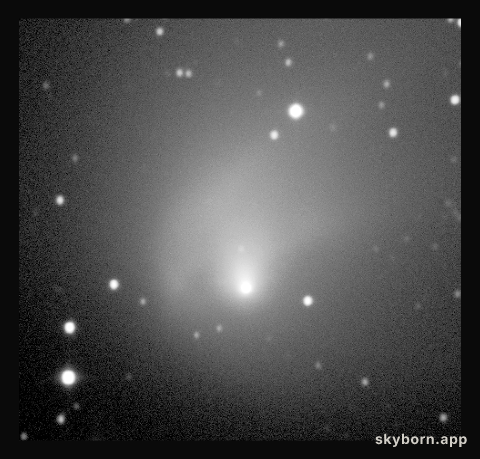 Observations of comet Hale-Bopp from La Silla