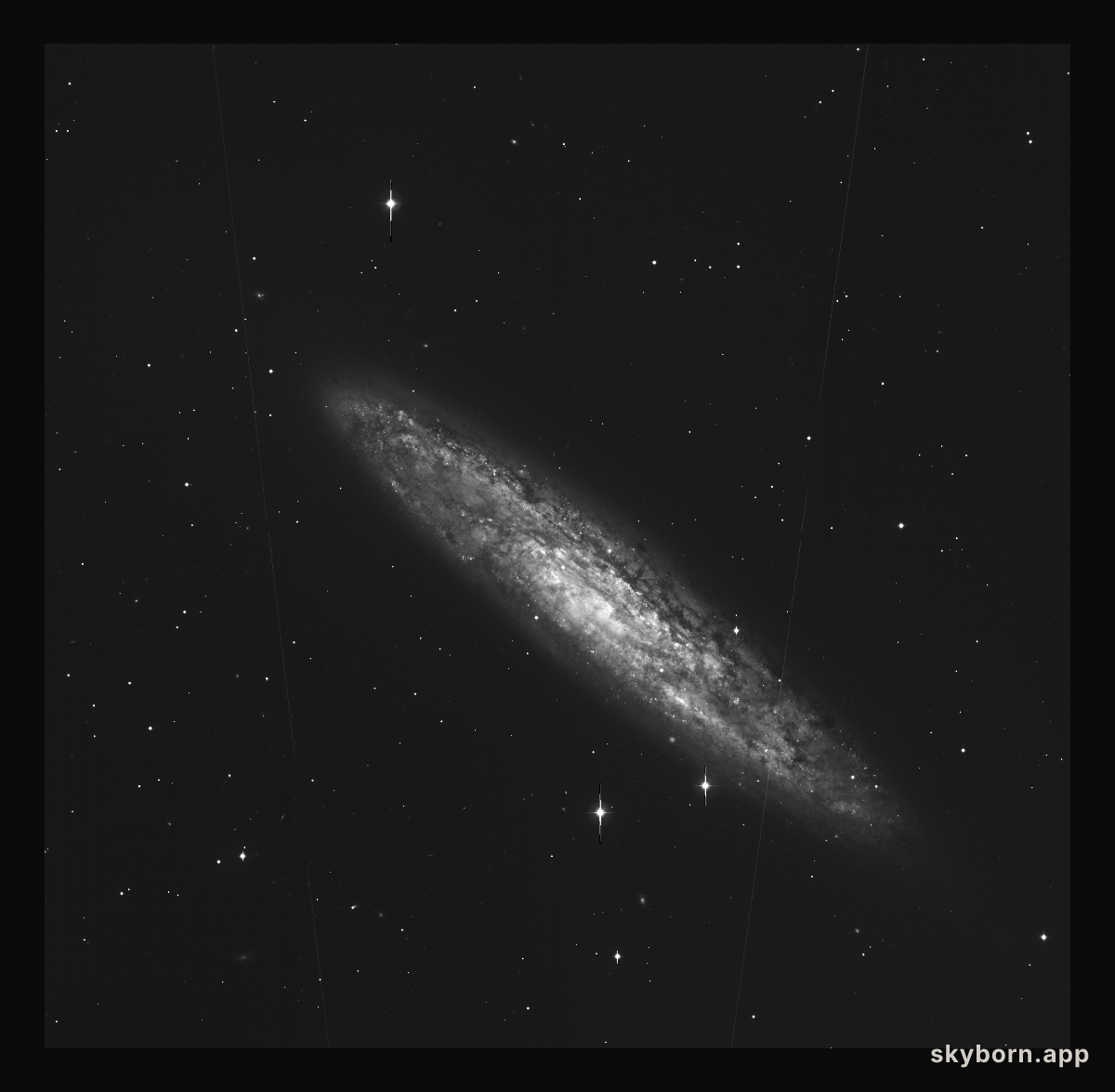 Spiral galaxy NGC 253