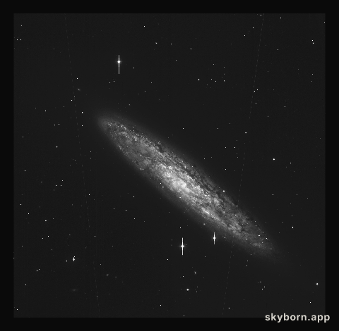 Spiral galaxy NGC 253