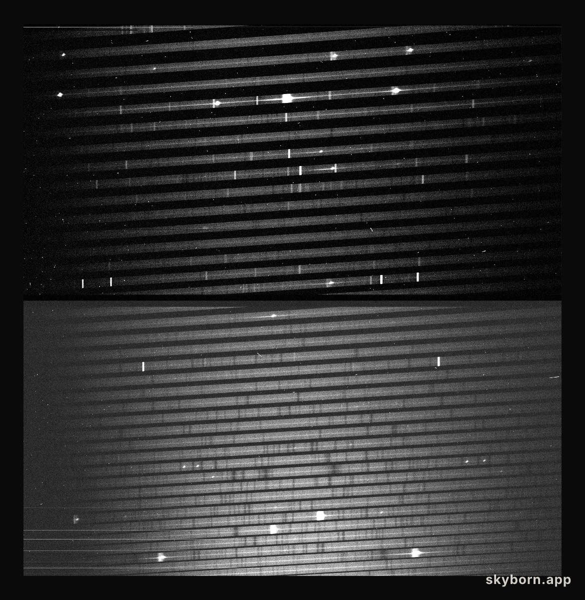 Echelle spectrum of SN1987A