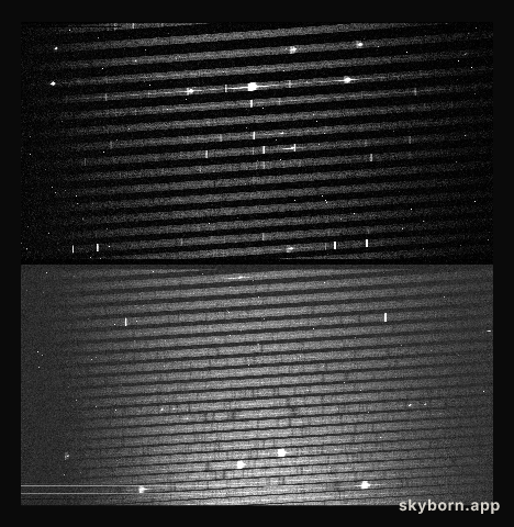 Echelle spectrum of SN1987A
