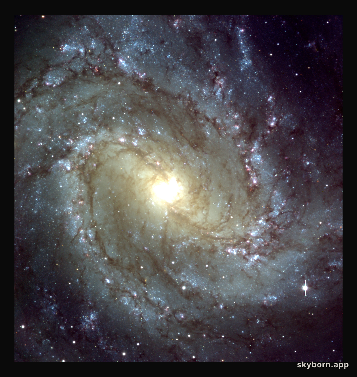 Messier 83: central region