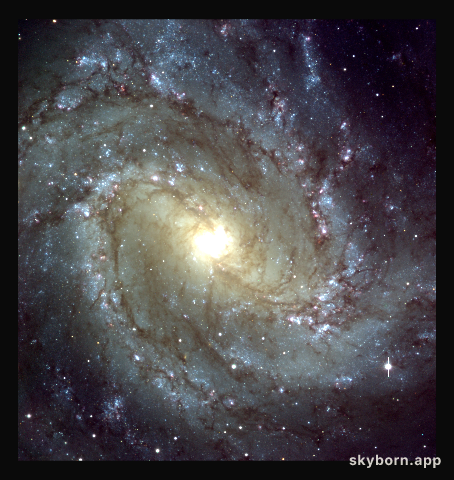 Messier 83: central region