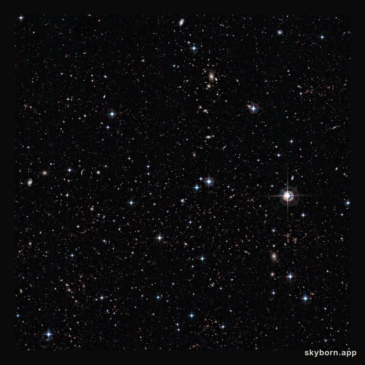 A galactic petri dish