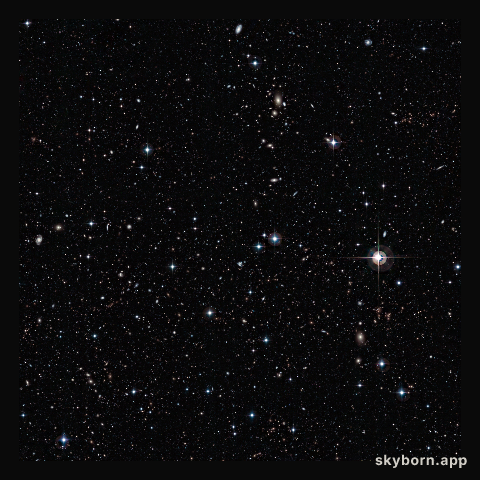 A galactic petri dish