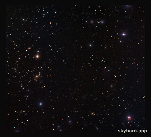 Mapping dark matter in galaxies