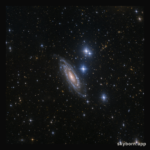 Stars and spirals