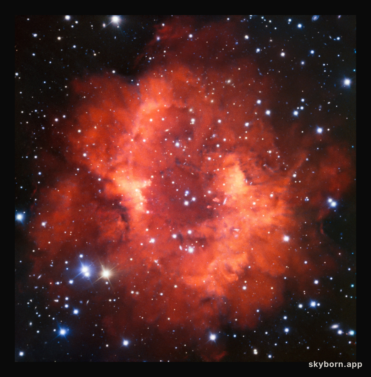 Red and Long Dead