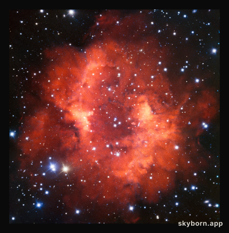 Red and Long Dead
