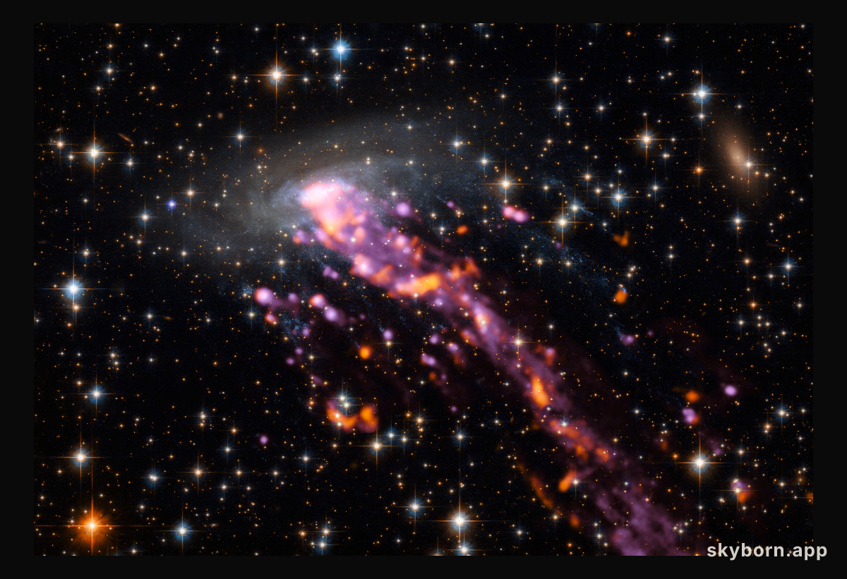 ALMA explores a Cosmic Jellyfish