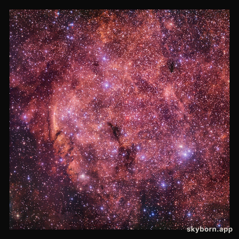 Plunge into a stellar ocean