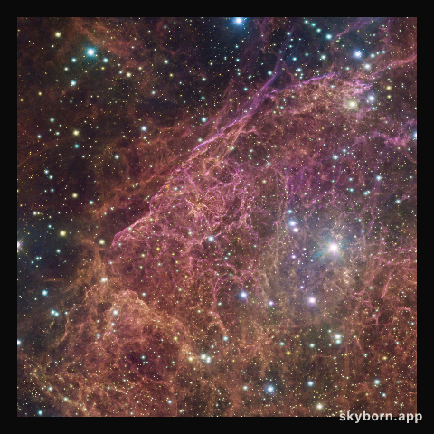 Giant cosmic networks