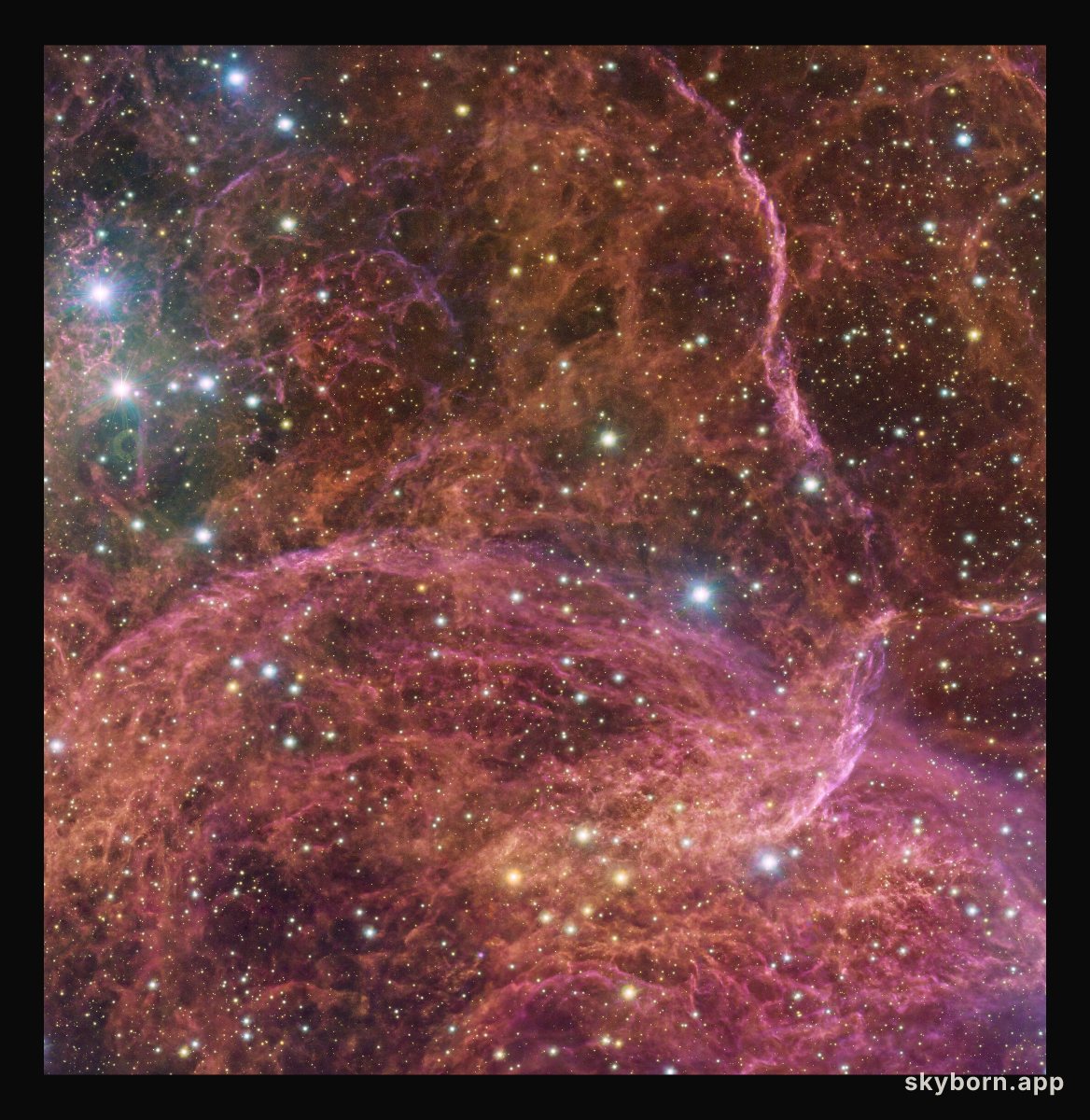 A stellar graveyard in the sky