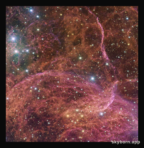 A stellar graveyard in the sky