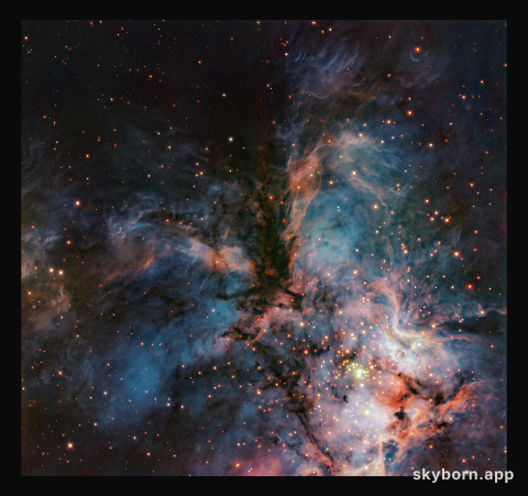 A cosmic hawk and its baby stars