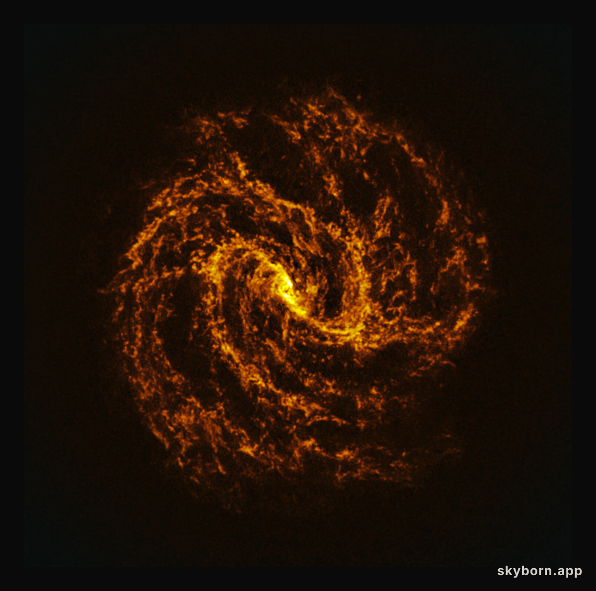 A swirling galaxy