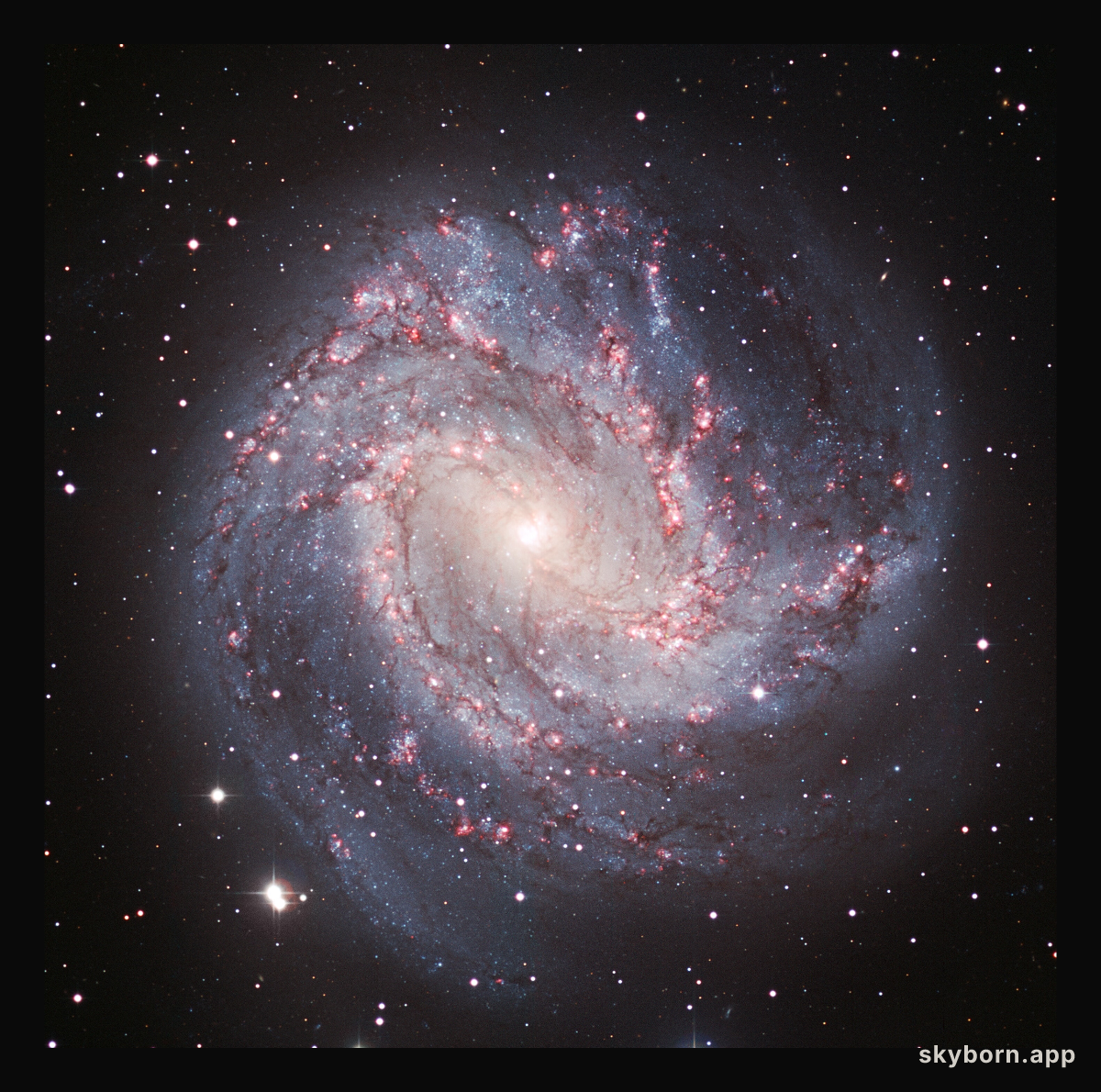 The M83 galaxy in visible light (crop)
