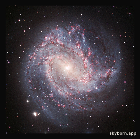 The M83 galaxy in visible light (crop)