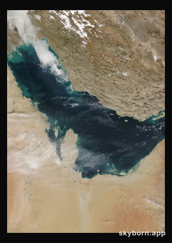 The Earth on 5 January 2004 · Persian Gulf