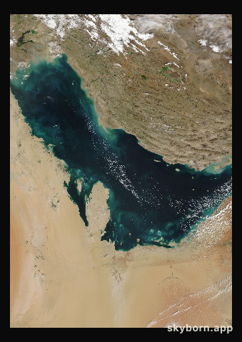 The Earth on 28 January 2004 · Persian Gulf