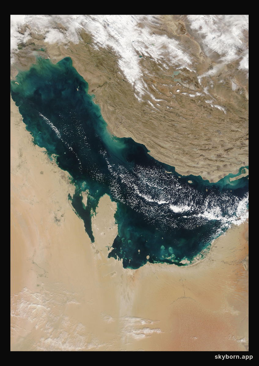 The Earth on 9 January 2008 · Persian Gulf
