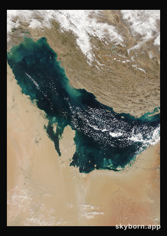 The Earth on 9 January 2008 · Persian Gulf