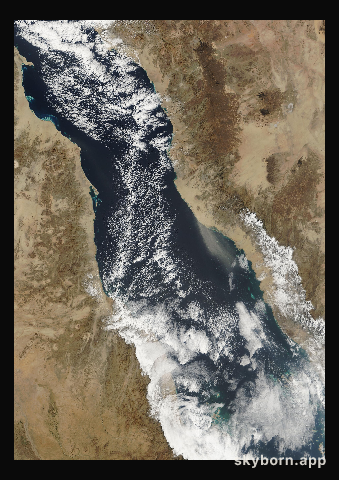 The Earth on 31 January 2008 · Red Sea