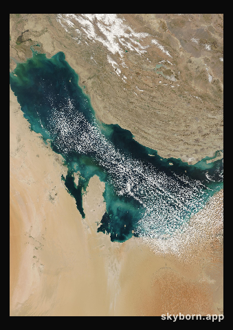 The Earth on 3 February 2008 · Persian Gulf