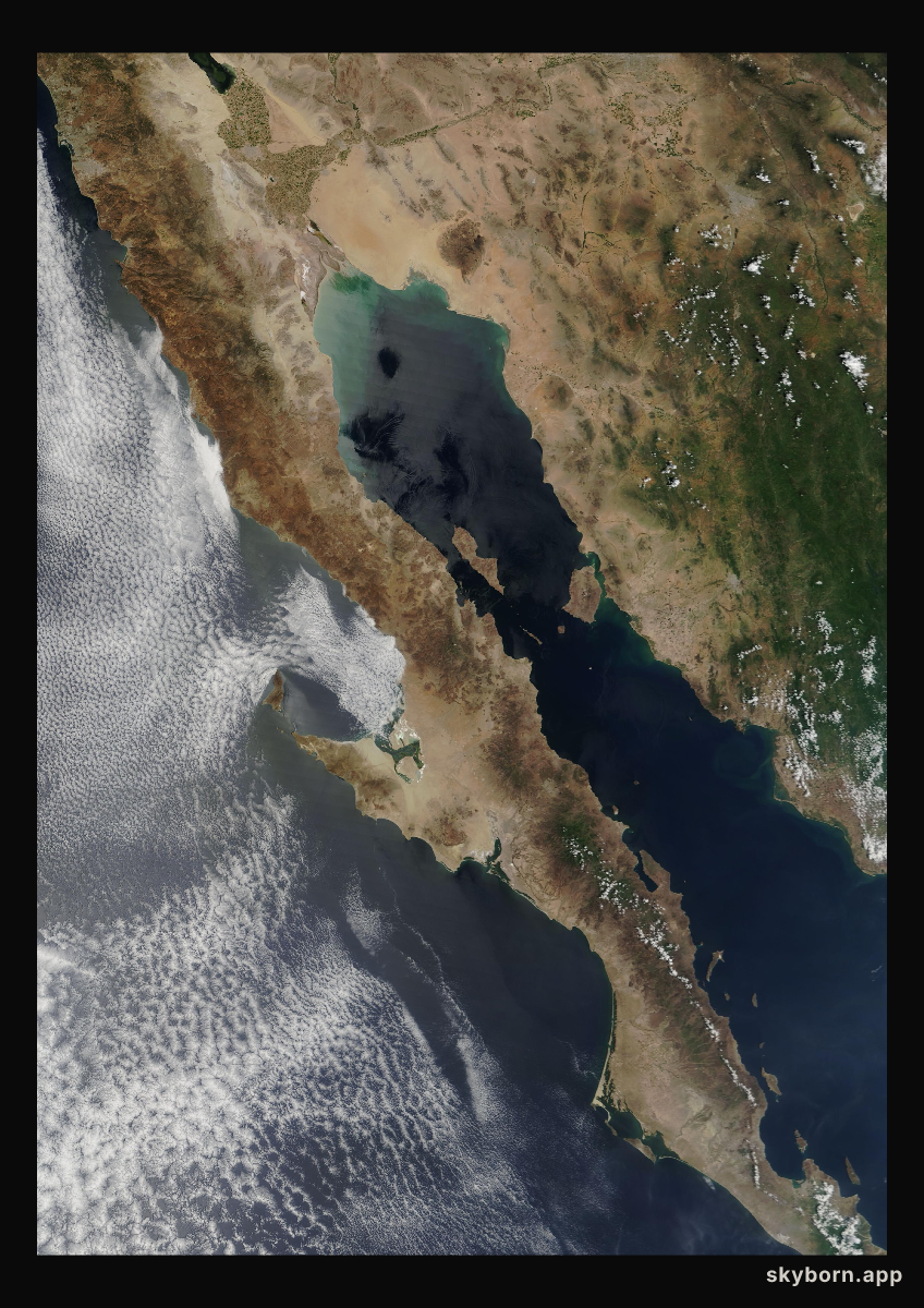 The Earth on 20 August 2008 · Baja California