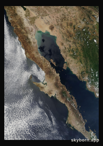 The Earth on 20 August 2008 · Baja California