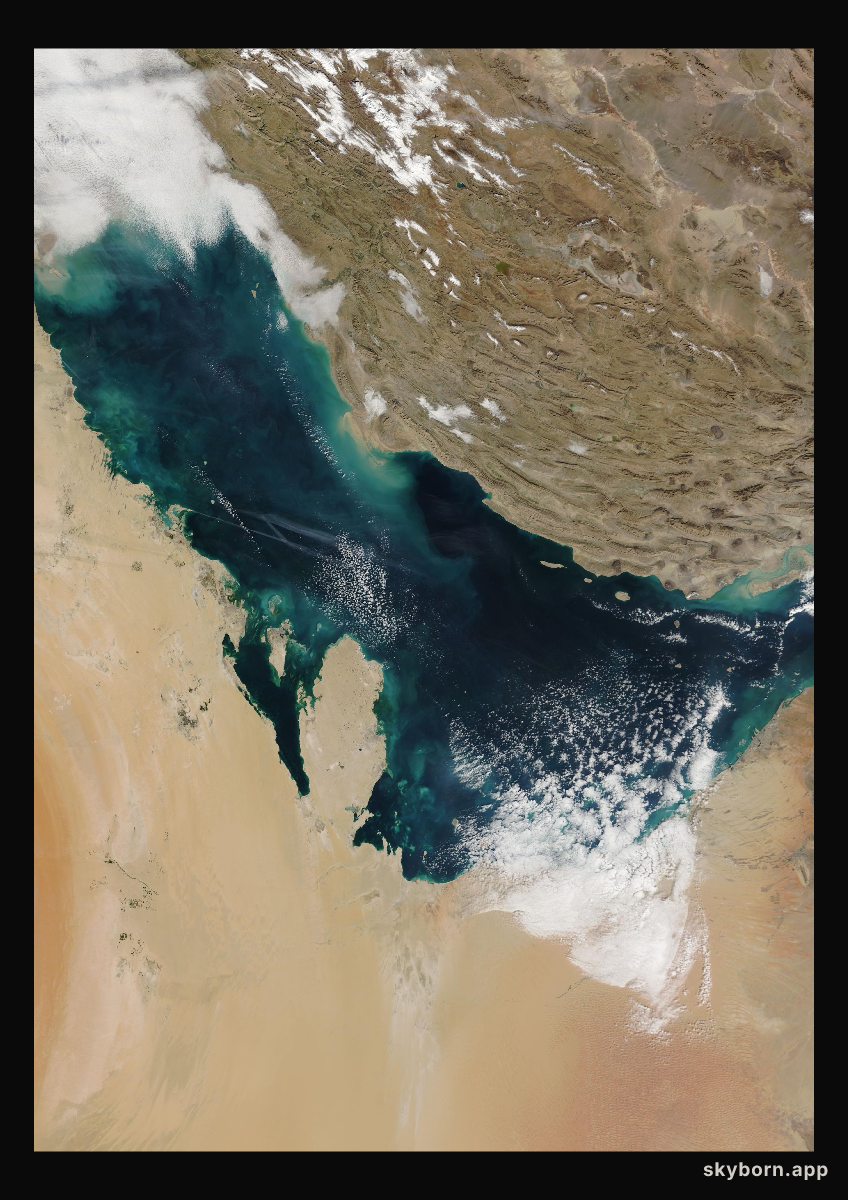 The Earth on 3 January 2010 · Persian Gulf