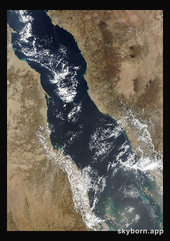 The Earth on 31 December 2010 · Red Sea