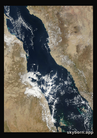 The Earth on 3 January 2014 · Red Sea