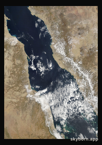 The Earth on 1 February 2016 · Red Sea