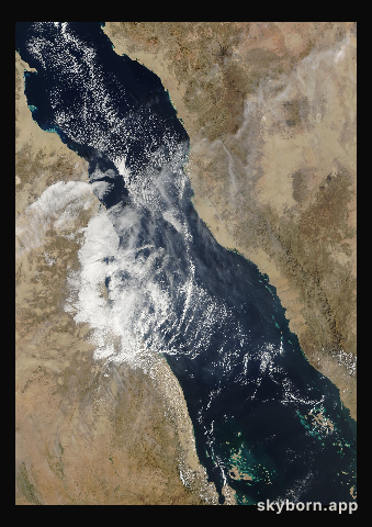The Earth on 9 January 2017 · Red Sea