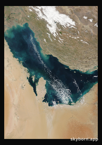 The Earth on 28 January 2020 · Persian Gulf