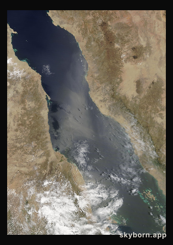 The Earth on 11 August 2020 · Red Sea