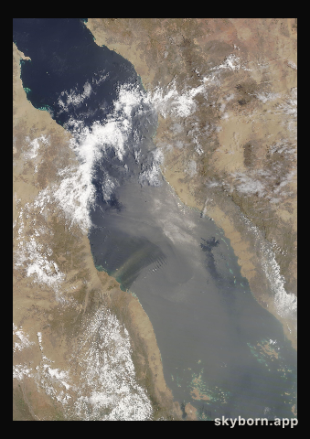 The Earth on 29 July 2021 · Red Sea
