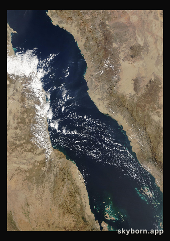 The Earth on 6 December 2021 · Red Sea