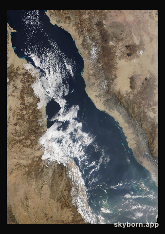 The Earth on 26 January 2022 · Red Sea