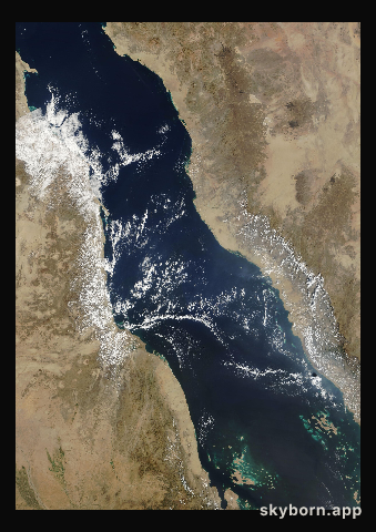 The Earth on 8 November 2022 · Red Sea